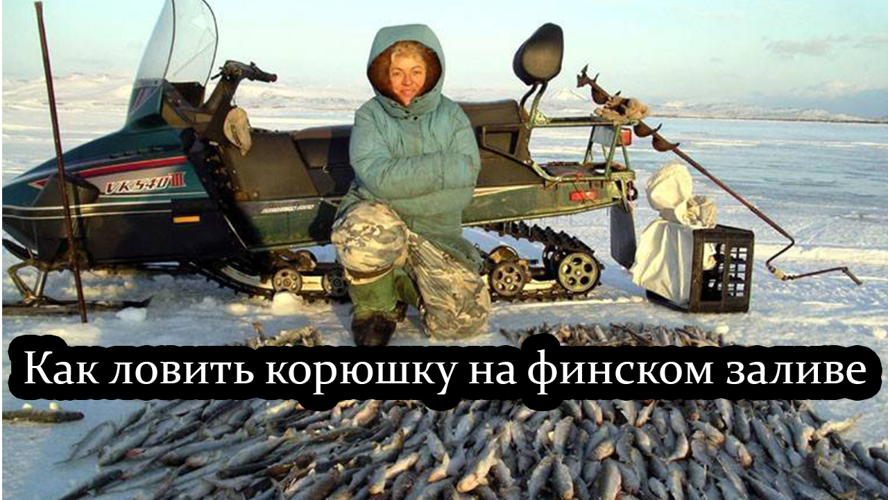 Как ловить корюшку на финском заливе
