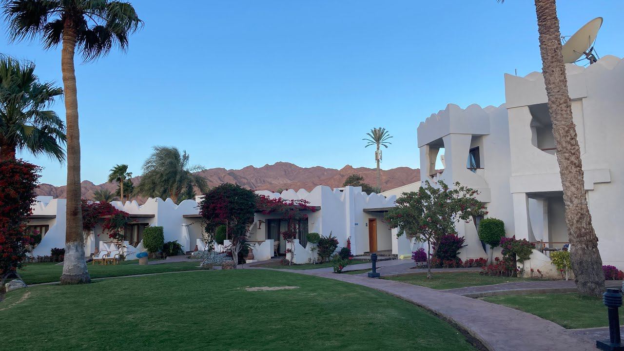 Swiss Inn Resort Dahab 4*. Видеообзор отеля в Дахабе. Египет