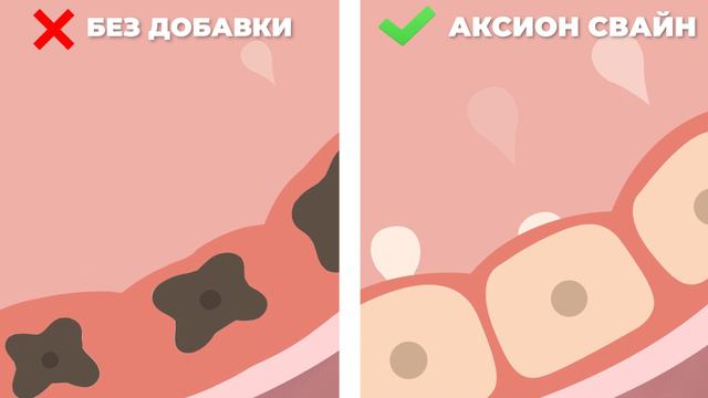 Аксион Свайн: повышение молочной продуктивности свиноматок