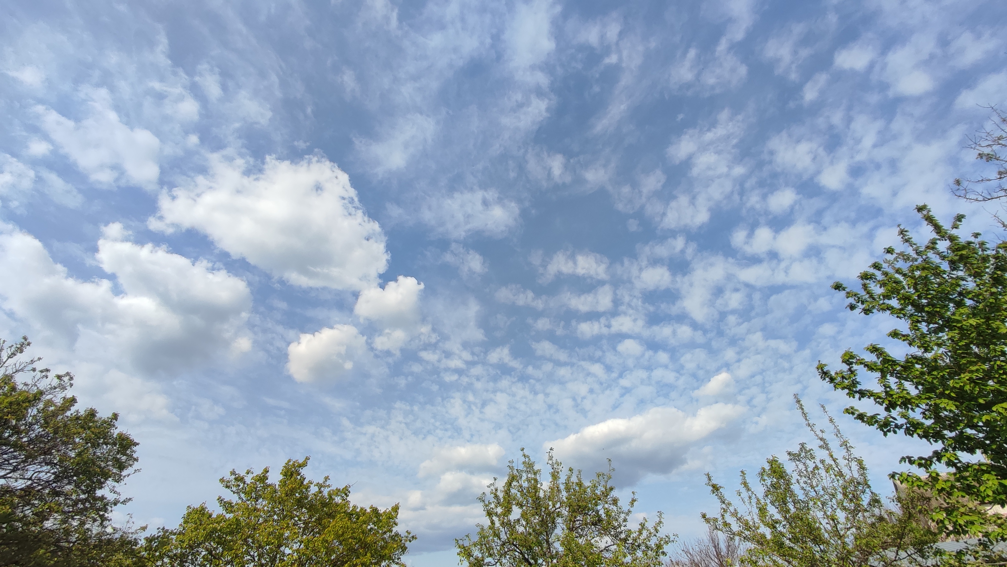 Весна и лето ! Божественное цветение и плодоношение деревьев в саду. Чудесная музыка, пение птиц.