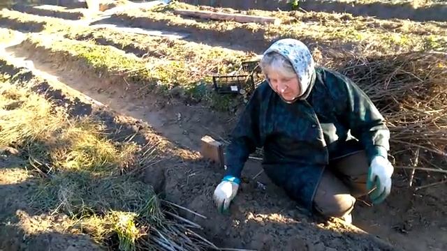 Грядка Розума - Бублика Палыга..mp4