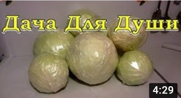 Как хранить КАПУСТУ в квартире????