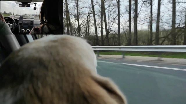 Дорога в Москву