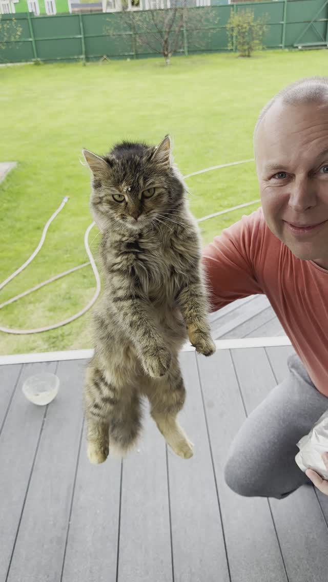 Катюша 😻 Первое знакомство #кошка