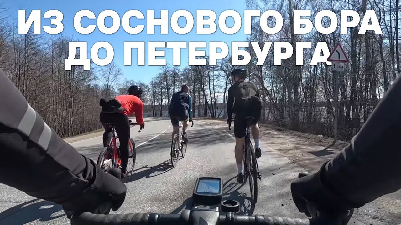 Из Соснового Бора в Петербург | 22.04.2023