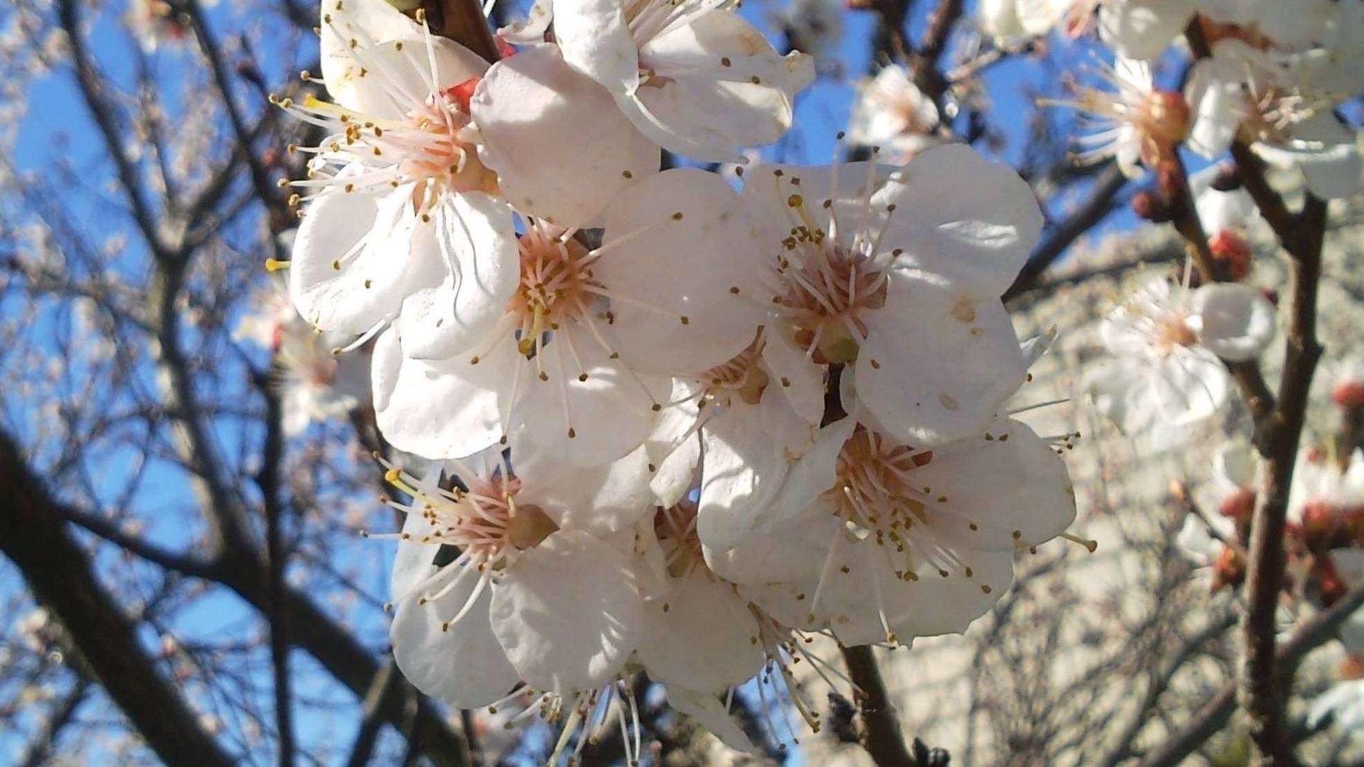 АУДИОКНИГА АНТОЛОГИЯ ЧАСТЬ 5 ( ЧИТАЕТ АВТОР ВЛАСОВ АЛЕКСАНДР)