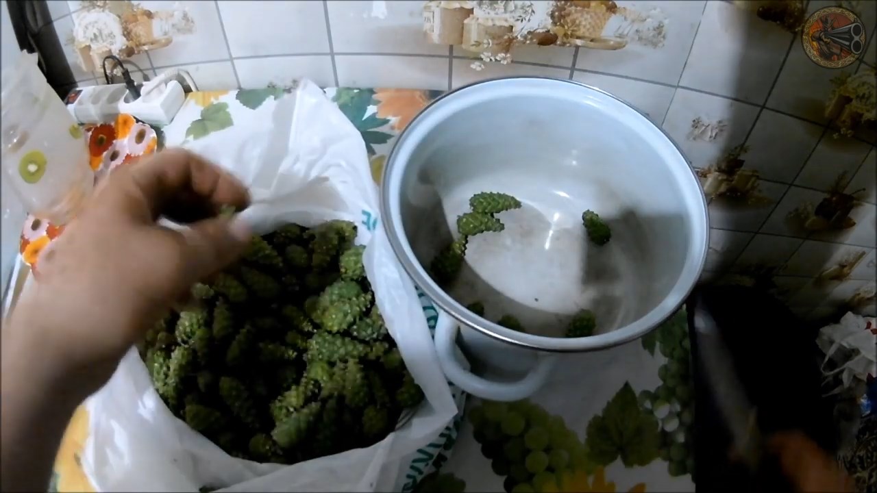 Варенье из сосновых шишек (Будни охотника и рыбака)