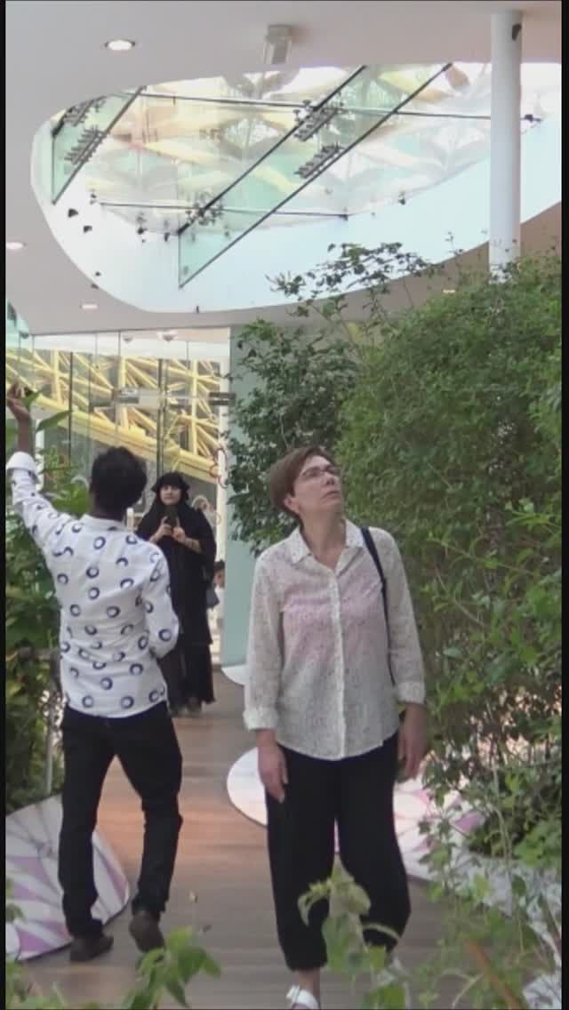 Парк бабочек на острове Аль-Нур