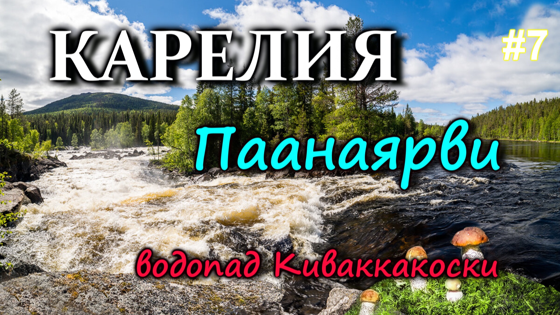 КАРЕЛИЯ. ПААНАЯРВИ отдых в старорусском стиле. Поход к водопаду Киваккакоски Готовим лесные грибы #7