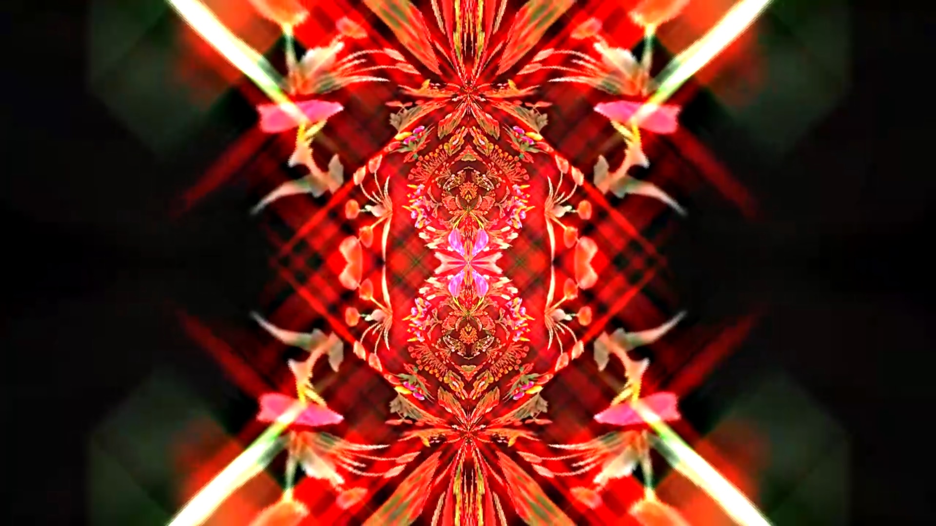 Футажи! Комплект Футажей Планета тюльпанов 13 от Киностудии Мудрого Кота Тимофея!