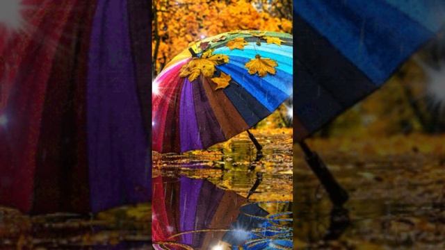 До свидания, октябрь! Shorts