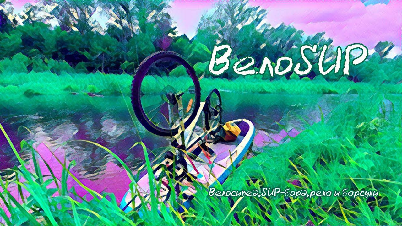#008 ВелоSUP - прогулка