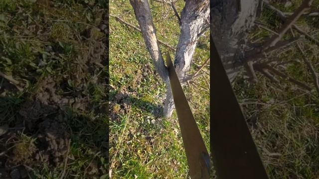 пила по дереву