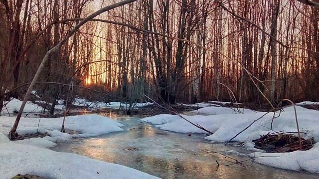 "И СКУЧНО, И ГРУСТНО".... (Фото Вл. Мастера (В.Новгород), поют Карина и Рузана Лисициан)
