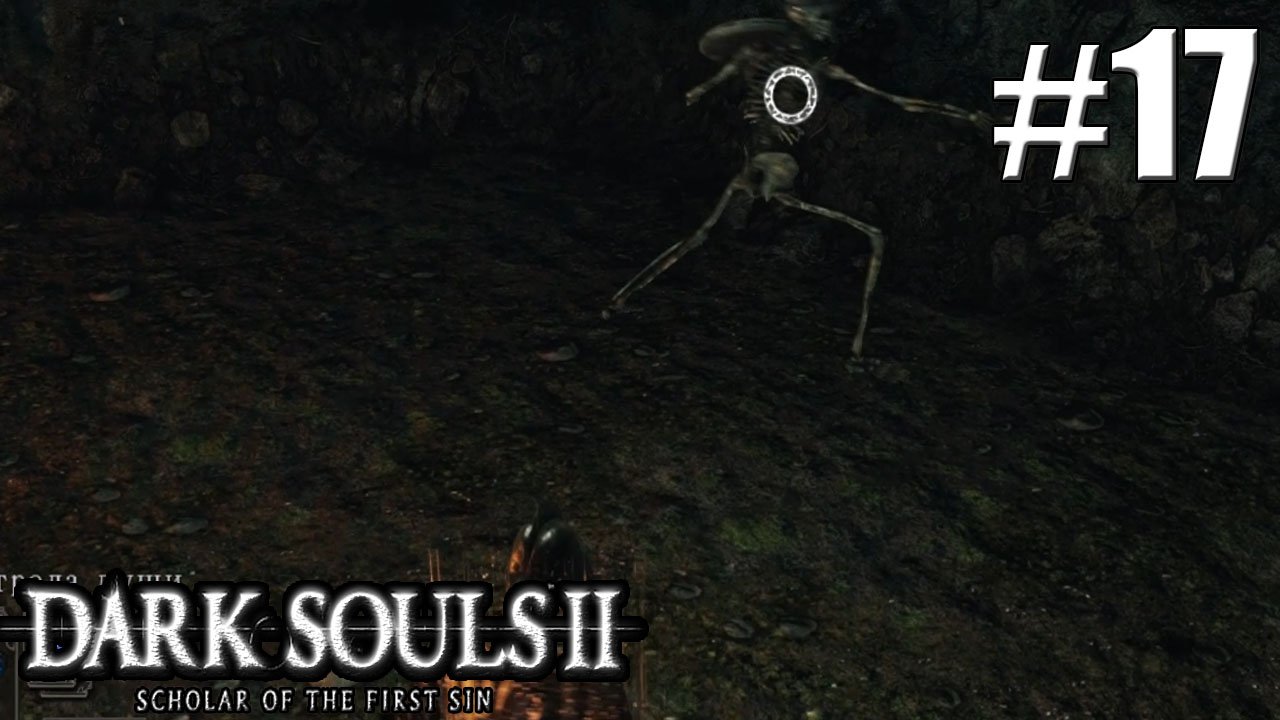 РОЩА ОХОТНИКА►Прохождение Dark Souls 2 #17