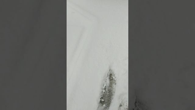 И снова зима❄️❄️❄️ Ленобласть❤️