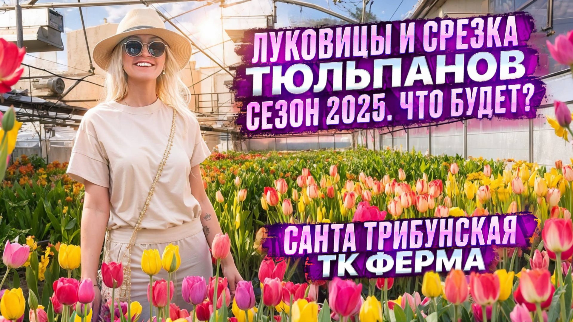 ЛУКОВИЦЫ И СРЕЗКА ТЮЛЬПАНОВ. Сезон 2025.