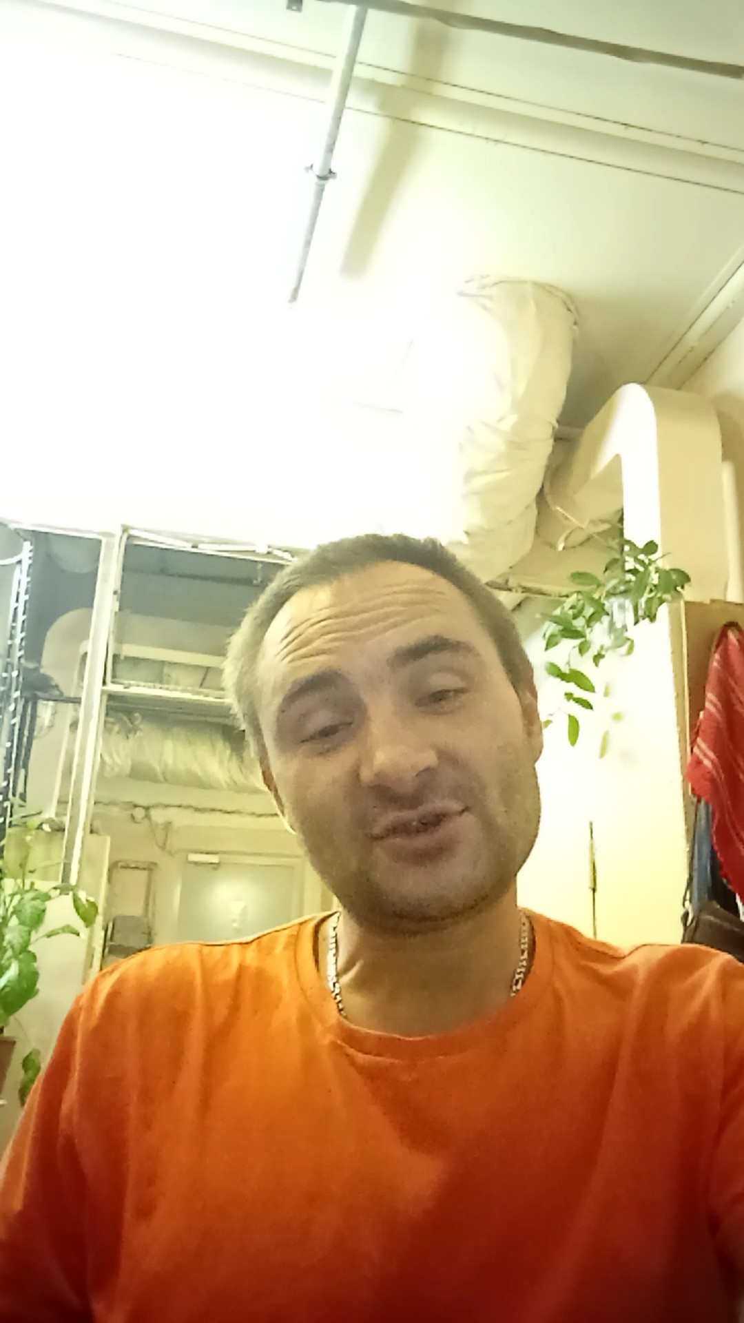 Как звали тещу Адама?