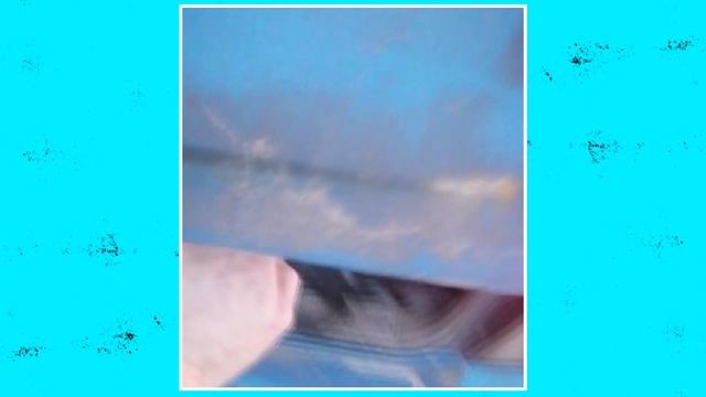 "Спасение от мороза" / "Зоопатруль" от 19.12.2023