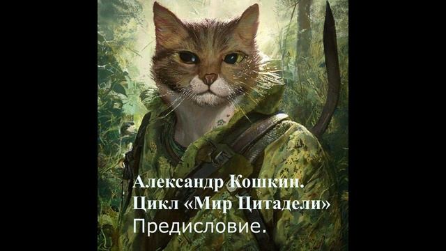 Александр Кошкин цикла «Мир Цитадели» Предисловие