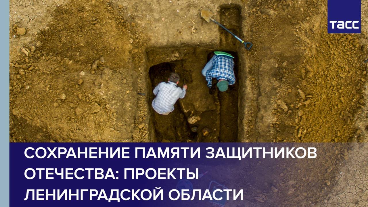 Сохранение памяти защитников Отечества: проекты Ленинградской области