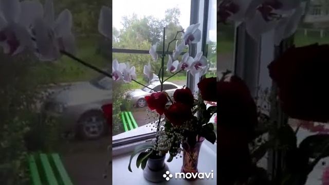 #shorts Видео от моей мамочки! Подарки!.mp4