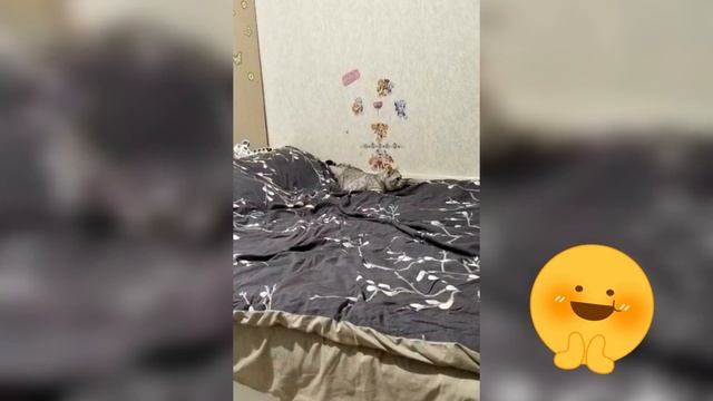 xSektor#Boss 125-человеку нужен человек.