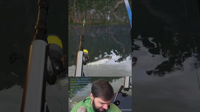 ?МОЩНЕЙШИЙ УЛОВ В РУССКОЙ РЫБАЛКЕ 4? #русскаярыбалка4 #рр4 #russianfishing4