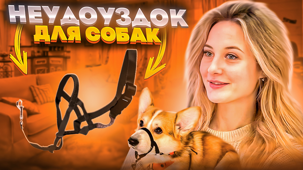 Недоуздок для собак