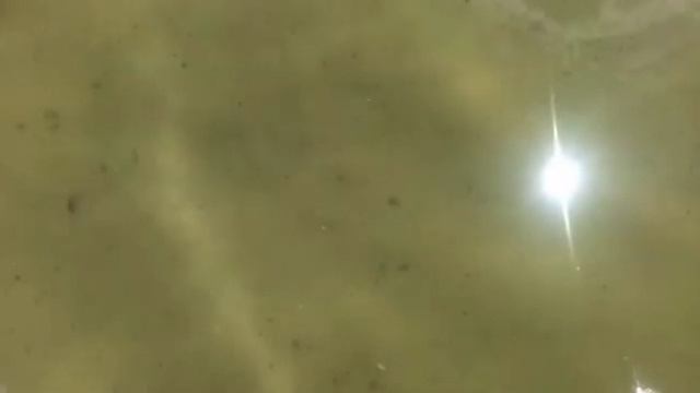 Отдых на Лазурном берегу Майами-Бич (детский залив)