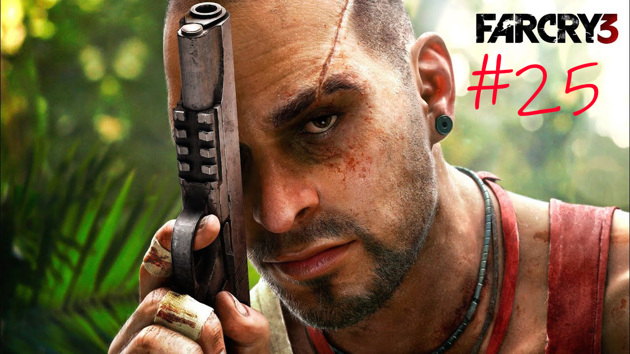 Far Cry 3 #25