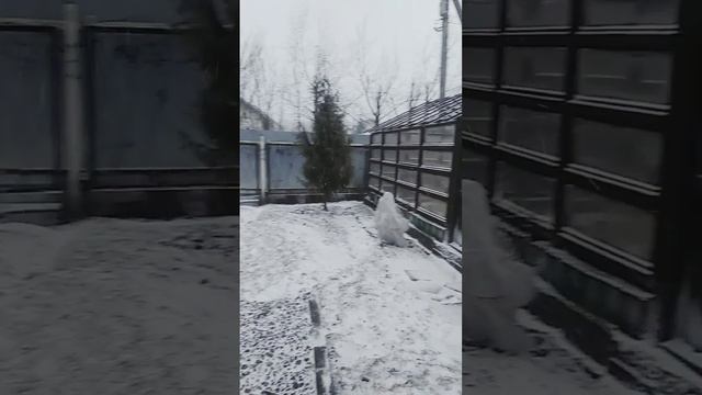 И снова зима🤦❄️❄️❄️
