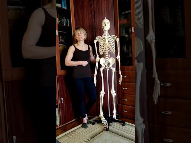 Приглашение на вебинар Натальи Приваловой «Что такое функциональная тренировка и зачем она нужна?»