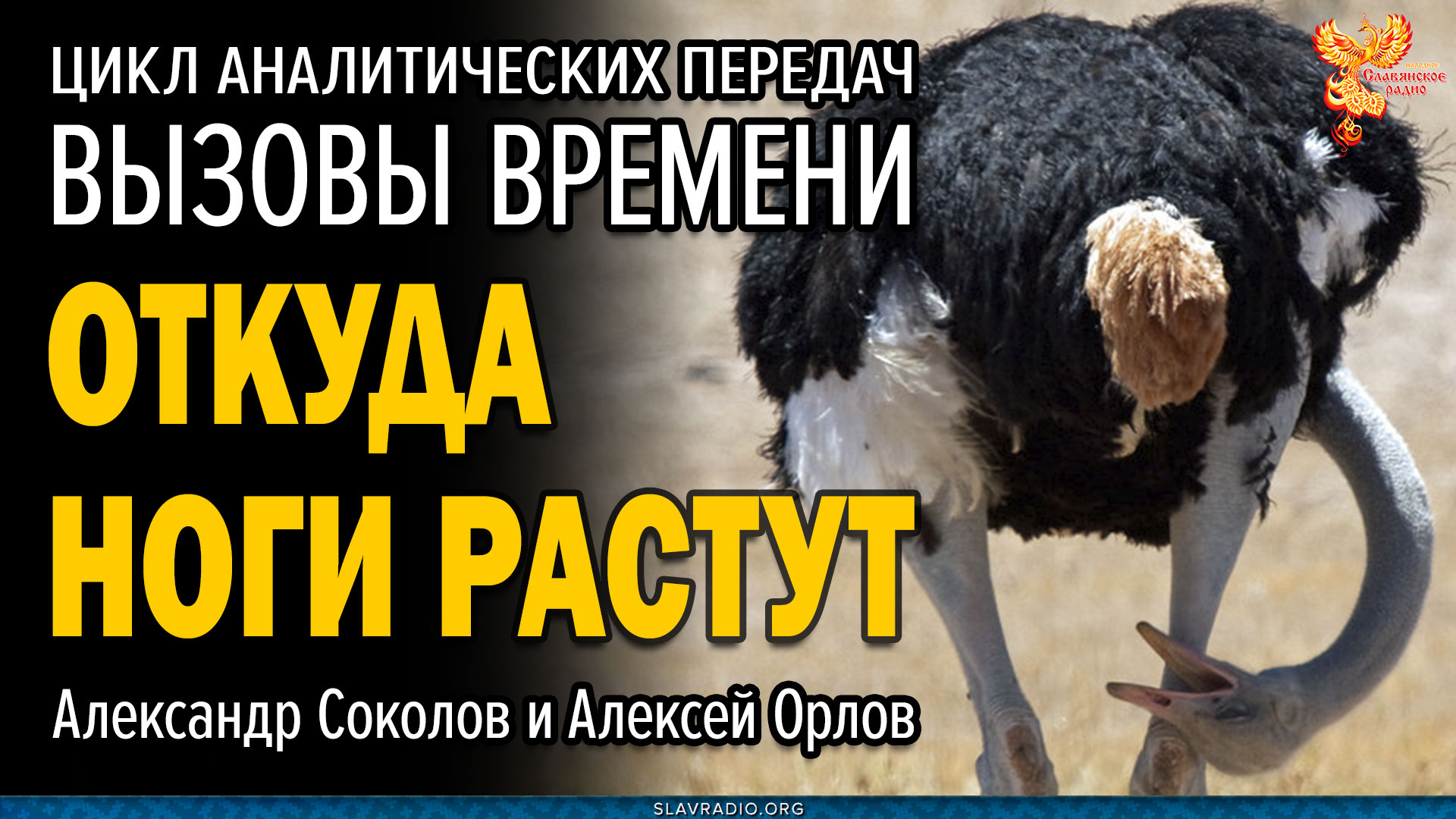 Почему и откуда ноги растут?