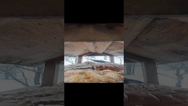 20231203_095809~2.mp4озвучка телек.03.12.2023г.