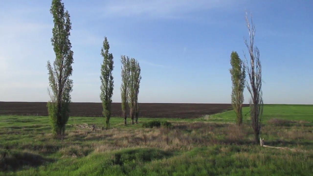 Опустевший хутор Палатовский (Смирновский), Саратовский район.