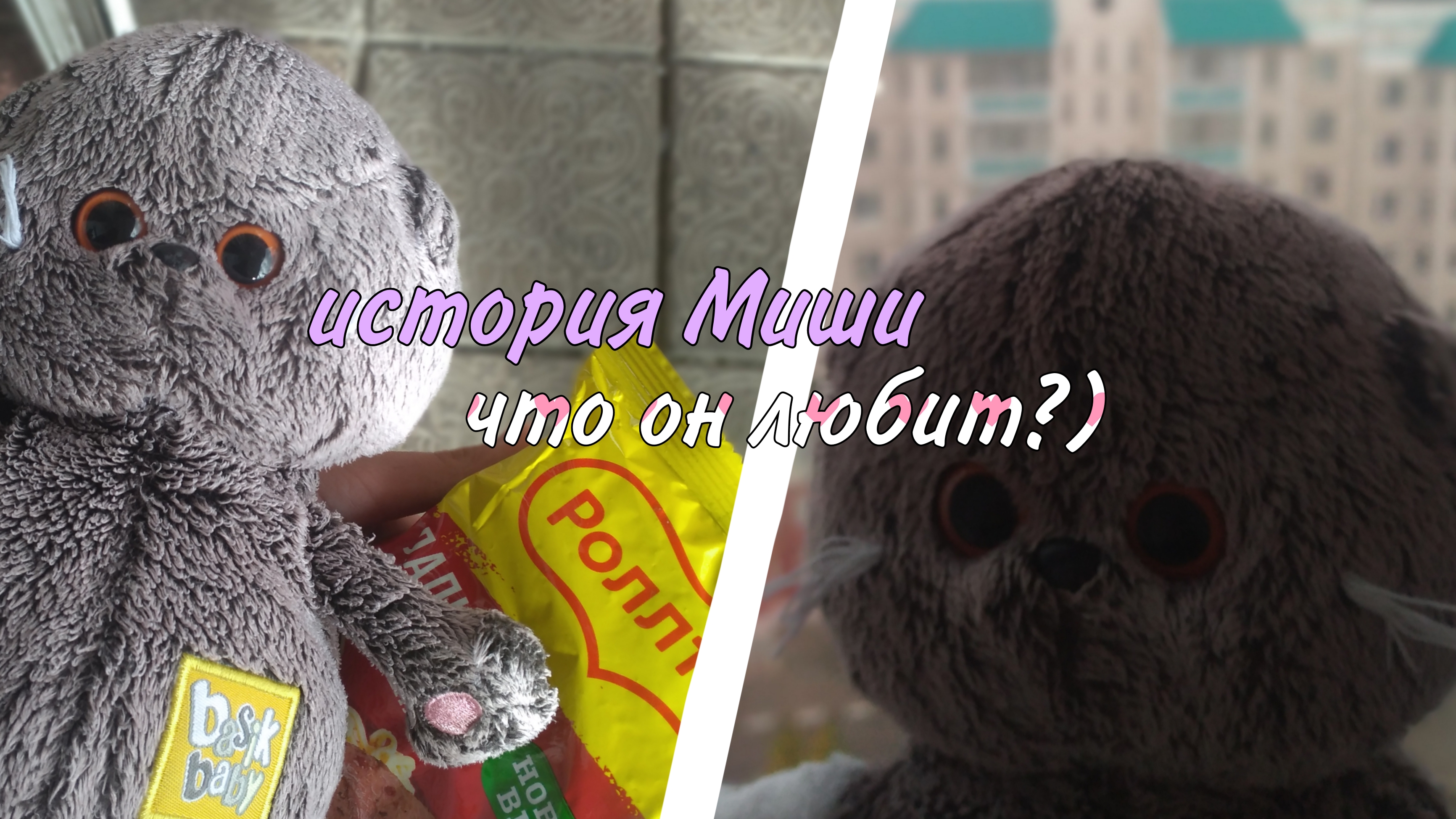 Вечер с Мишей! Что любит Миша?