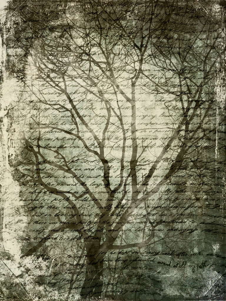 "ЭТЮД ВЫСШЕГО МАСТЕРСТВА"... (Фото-Графика Игоря Груздева (Кострома), музыка Сергея Ляпунова)