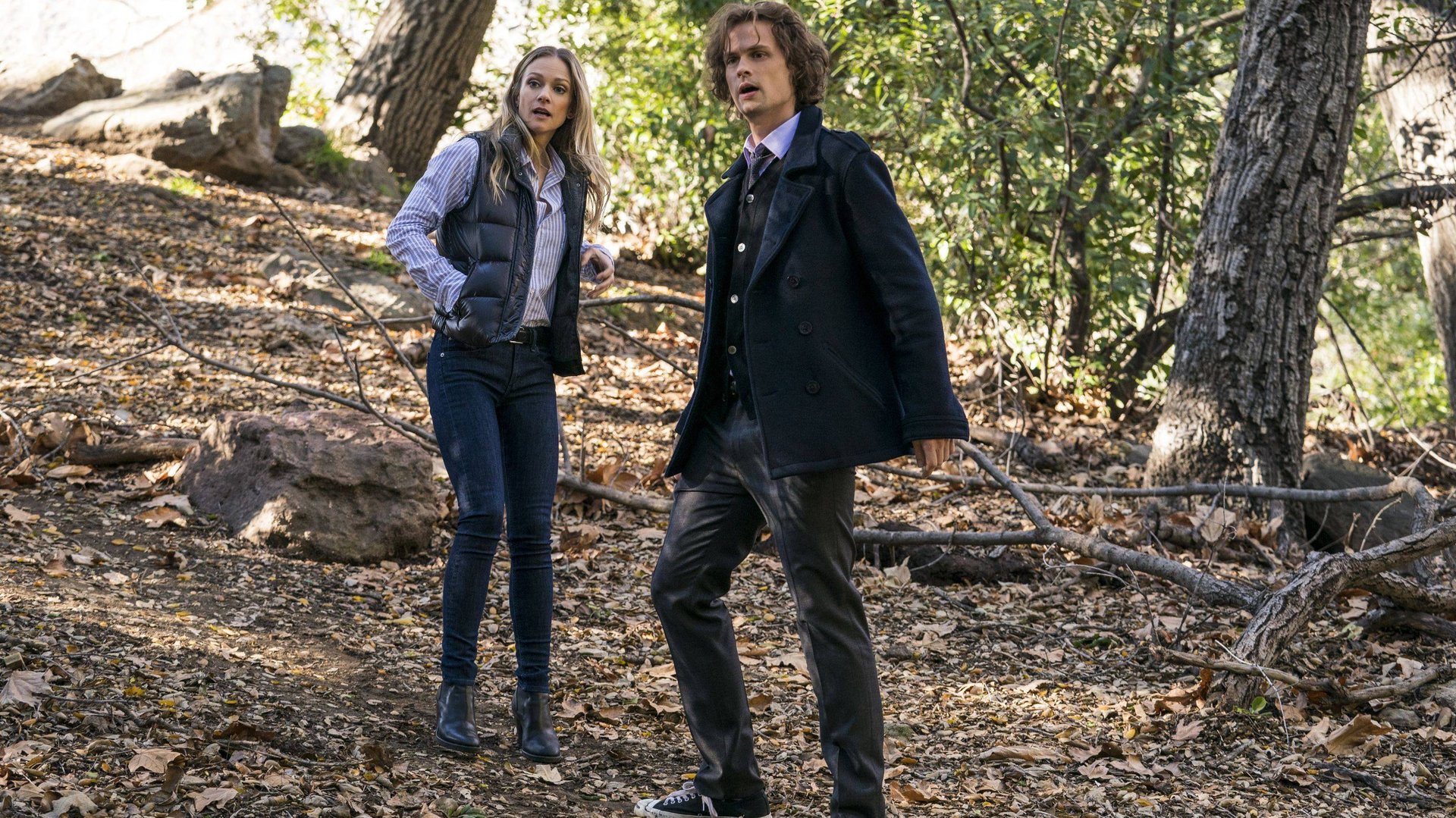 Мыслить как преступник - 10 сезон 18 серия / Criminal Minds