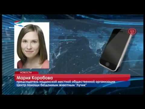 Новости 11.04.19