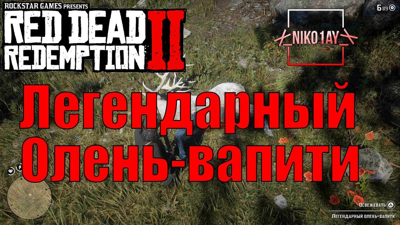 Red Dead Redemption 2 Легендарный Олень-вапити