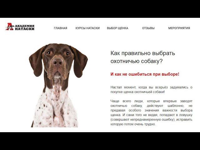 Не покупай охотничью собаку пока не посмотришь этот вебинар!
