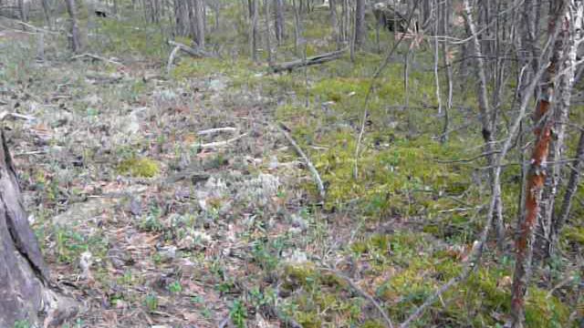 О компасе для разных полушарий Земли