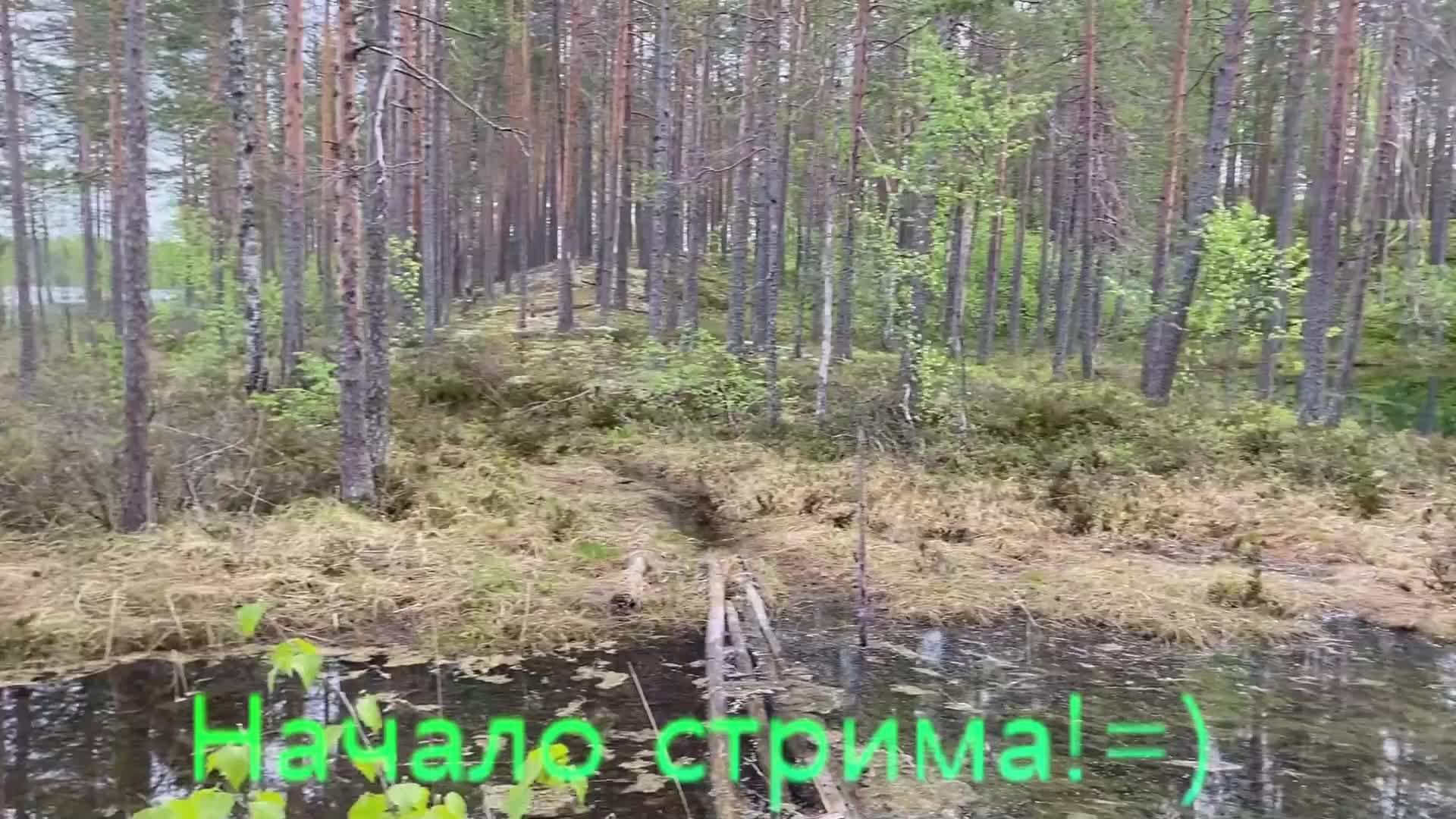 Fortnite и тут надо взять топ=)