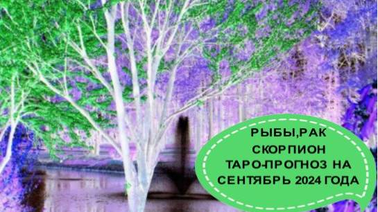 РЫБЫ, РАК, СКОРПИОН ТАРО-ПРОГНОЗ НА СЕНТЯБРЬ 2024 ГОДА