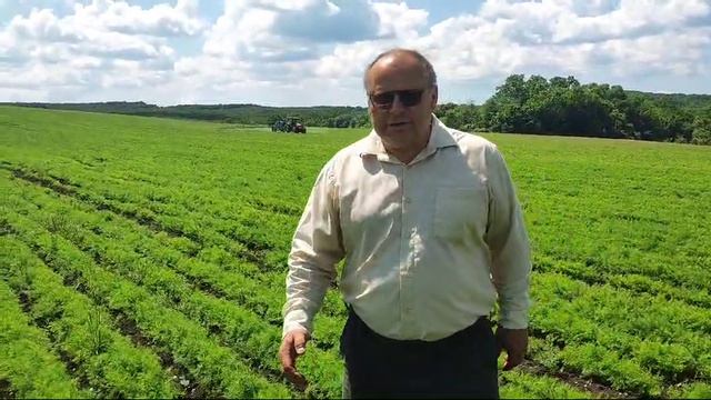 ГАВРИШ. КРЫМСК.