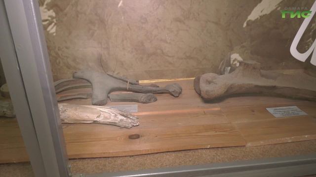 "Жигулевск" / "Компас-ГИС. Туризм без багажа" от 24.07.2024