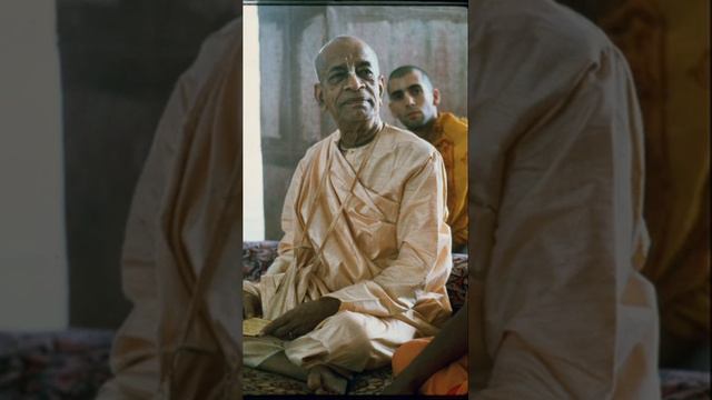 Смысл жизни - перестать реинкарнировать в материальном теле. Шрила Прабхупада