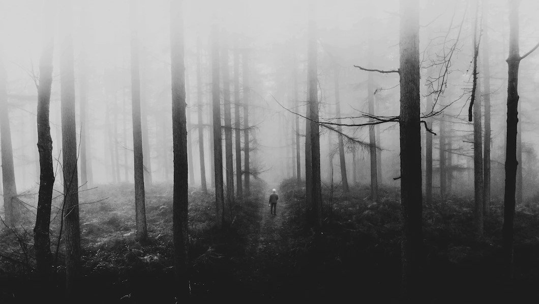 Лес ошибок не прощает - как в Югре устроен поиск потерявшихся людей