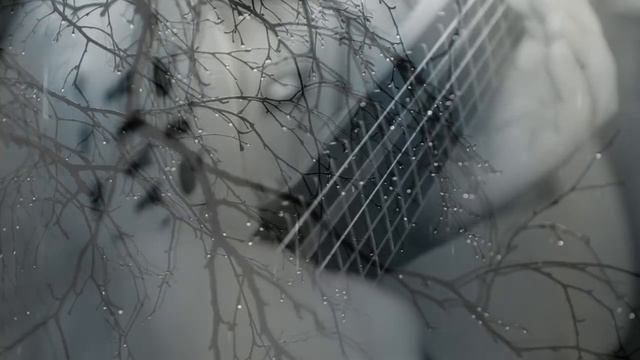 Анатолий Зеленков & Spanish Guitar | Стена